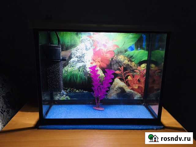Аквариум Щёлково - изображение 1