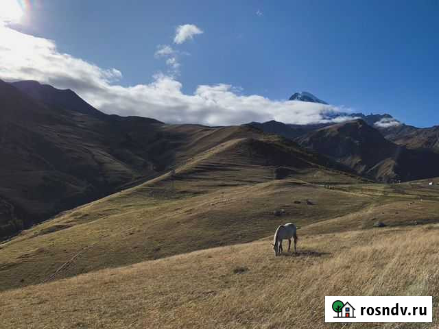 Фотографирую на iPhone Екатеринбург - изображение 1