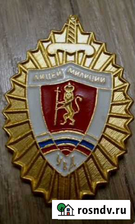 Нагрудный знак Владимир - изображение 1