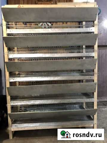 Клетки для перепелов Черногорск - изображение 1