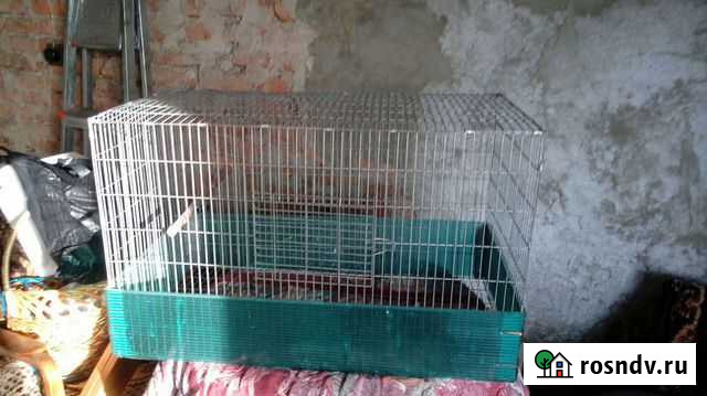 Клетка Щигры - изображение 1