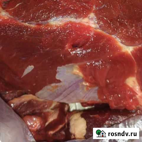 Мясо говядина для собак Токсово - изображение 1