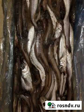 Путассу Вышний Волочек - изображение 1