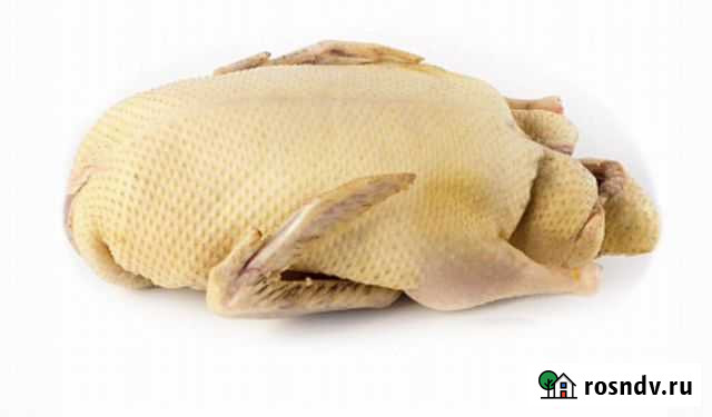 Мясо утки мулард Красногорск - изображение 1