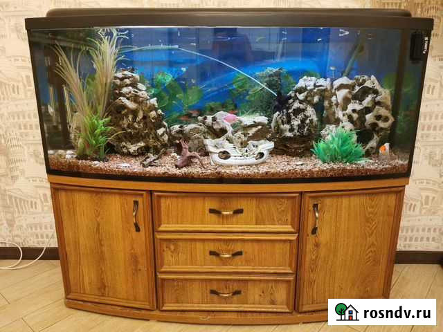 Аквариумный комплекс Краснодар - изображение 1