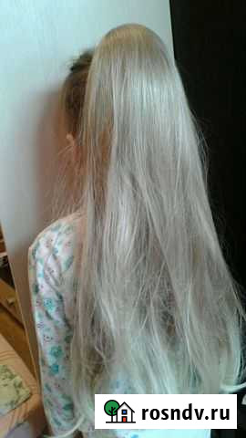 Волосы хвост на крабе Кострома - изображение 1