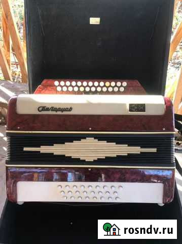 Баян Лебедянь - изображение 1