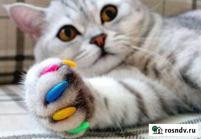 Антицарапки для кошек + оклеивание Ульяновск - изображение 1