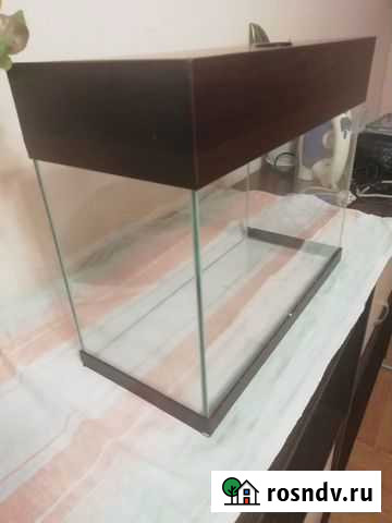 Аквариум Кемерово - изображение 1