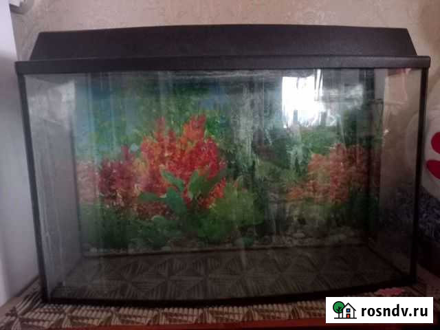 Аквариум Белебей - изображение 1