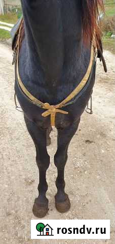 Нагрудник Учкекен - изображение 1