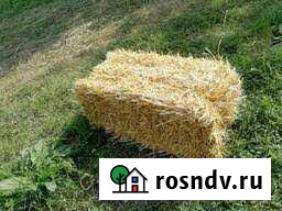 Сено и солома Фастовецкая - изображение 1