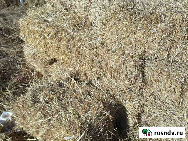 Солома в тюках Хомутово - изображение 1