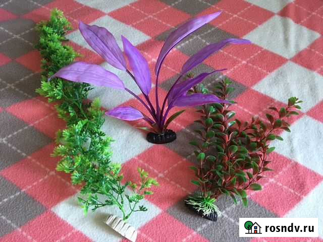 Украшение для аквариума Казань - изображение 1