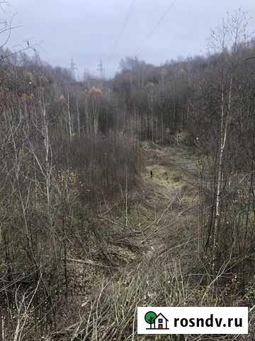 Расчистка,расширение лэп,участков от Великий Новгород - изображение 1