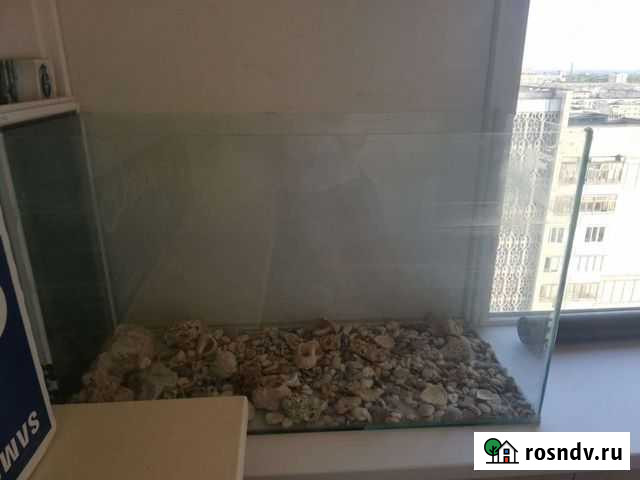 Террариум Евпатория - изображение 1