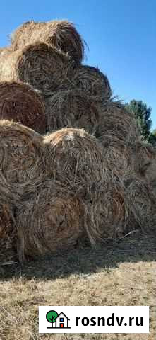 Сено 21 года Камызяк - изображение 1