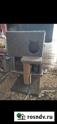 Домик для кошки Белгород - изображение 1