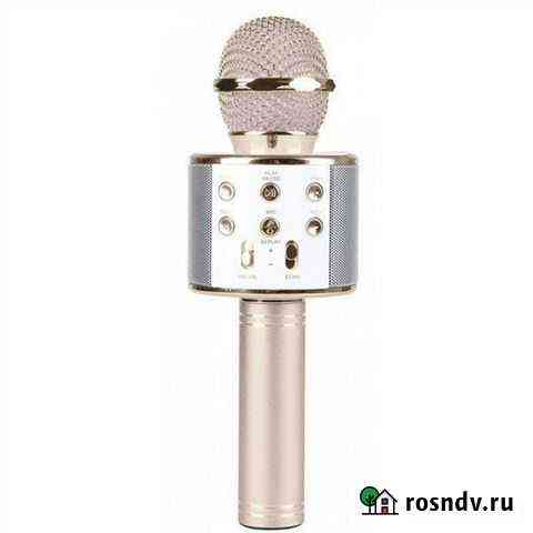 Караоке-микрофон WS 858 серебряный, меняет голос Курган