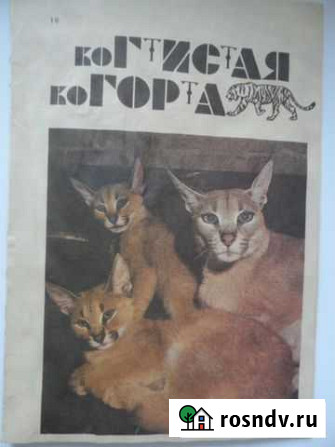 Рассказы о видах кошачьих Когтистая когорта 1992 г Сочи - изображение 1