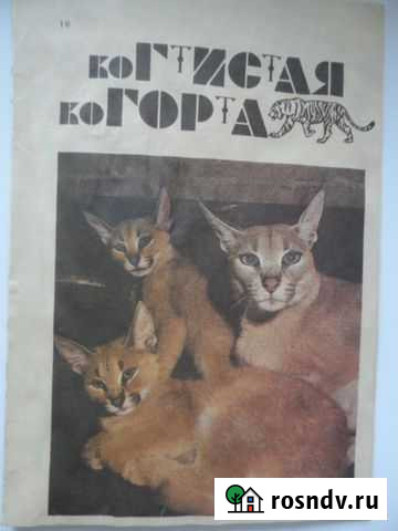 Рассказы о видах кошачьих Когтистая когорта 1992 г Сочи - изображение 1