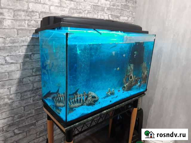 Аквариум Батайск - изображение 1