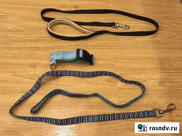 Поводки и ошейник Владимир - изображение 1