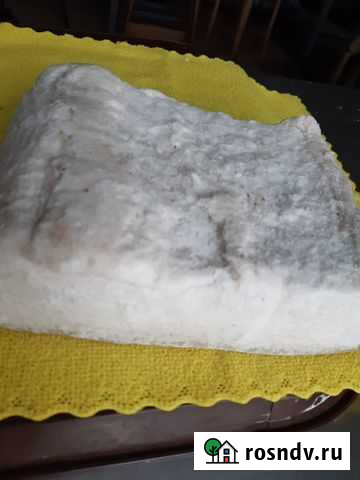 Домашнее соленое сало Одинцово - изображение 1