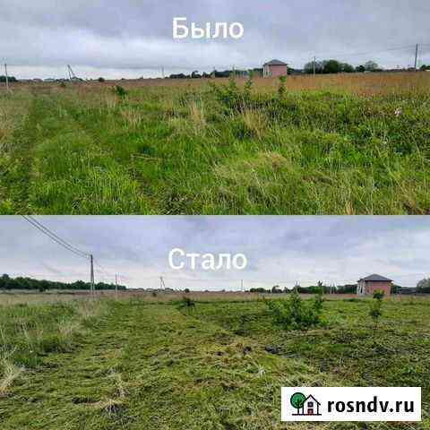 Покос травы, скос травы Калининград
