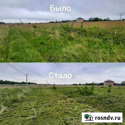 Покос травы, скос травы Калининград - изображение 1