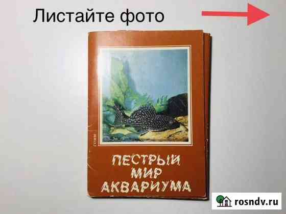 Пестрый мир аквариума Кострома