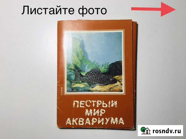 Пестрый мир аквариума Кострома - изображение 1