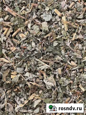 Репешок, травы от заготовителя Симоненко - изображение 1