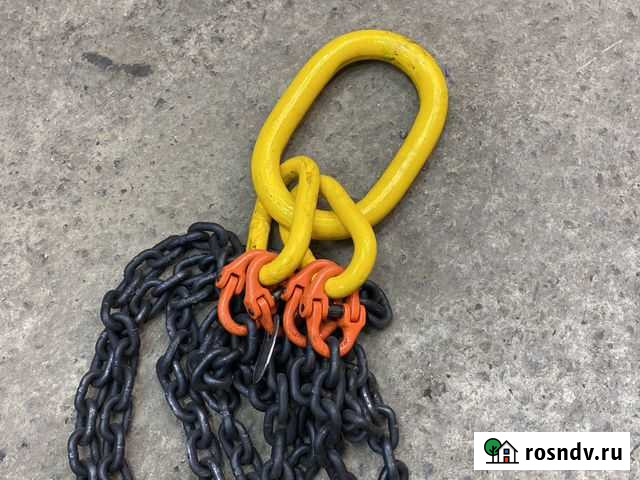 Цепные пауки чалки Шипуново - изображение 1