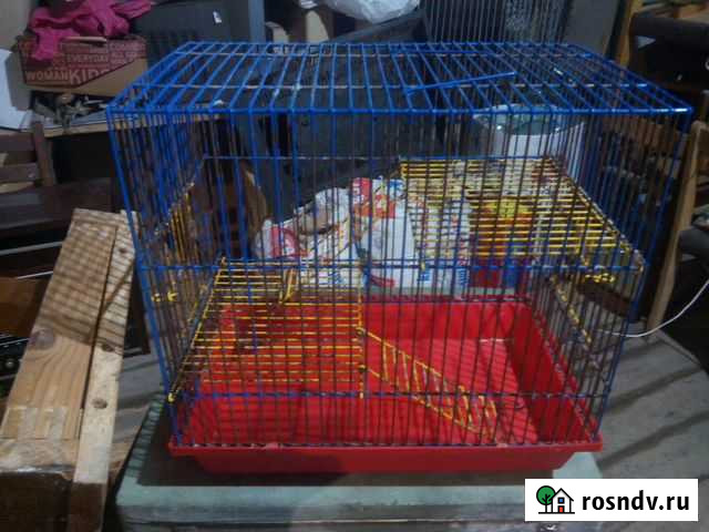 Клетка для грызунов Сергиев Посад - изображение 1