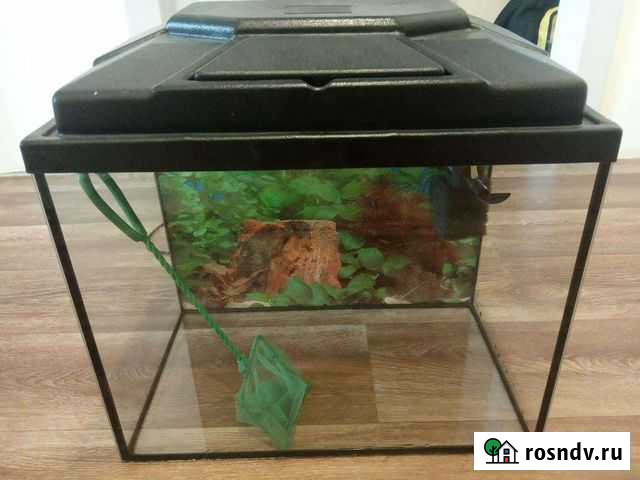 Аквариум Тольятти - изображение 1