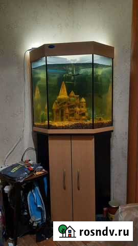 Аквариум угловой с тумбой Иваново - изображение 1