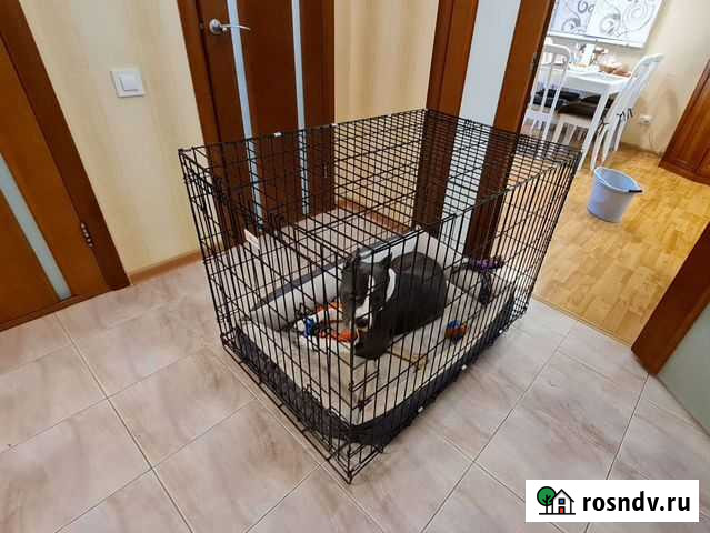 Вольер клетка для крупных собак Калуга - изображение 1