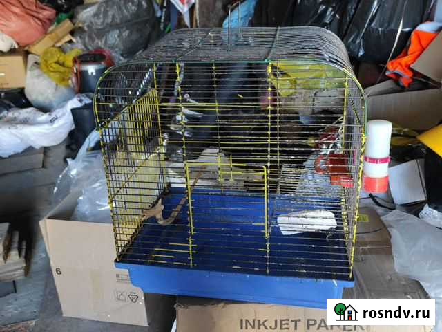 Клетка для среднего попугая Бийск - изображение 1