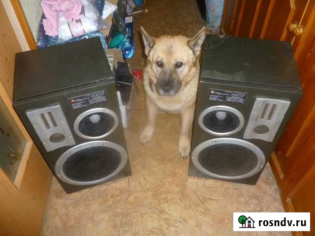 Акустика 25ас-27 амфитон Вологда - изображение 1