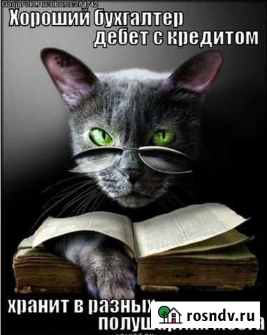 Бухгалтерские услуги Воронеж - изображение 1