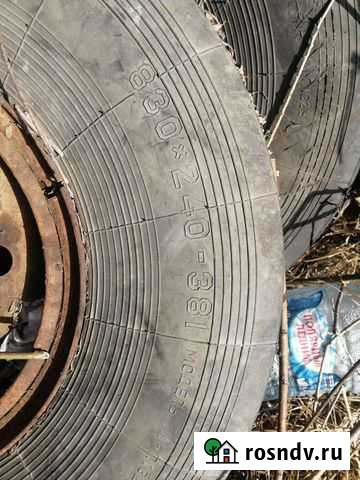 Катки на Витязь Лабытнанги - изображение 1