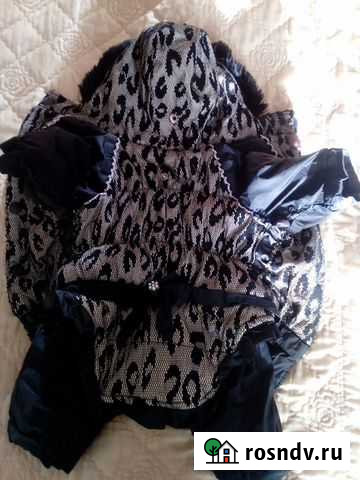 Комбинезоны зима и демисезон для собаки Великий Новгород - изображение 1