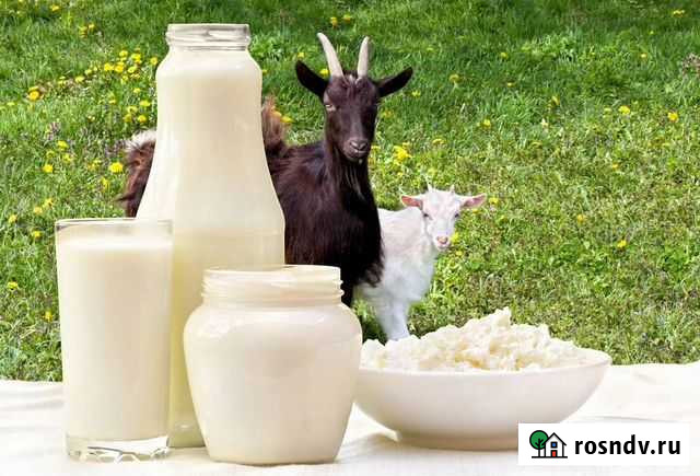 Козье Молоко Стрелка кировск свое подворье, творог Саратов - изображение 1