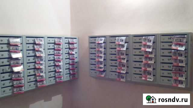 Разносчик (раздатчик, почтальон) печатной продукци Брянск - изображение 1