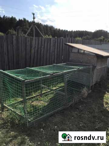 Курятник Верхняя Салда - изображение 1