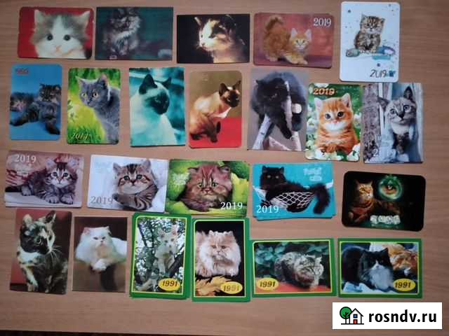 Лот 34.Календарики на темы Собаки  и Кошки Новороссийск - изображение 1