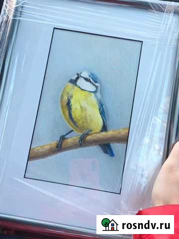 Синичка картина цветными карандашами Краснодар - изображение 1