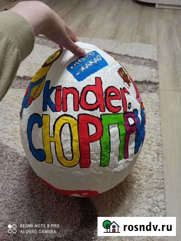 Киндер Пенза - изображение 1