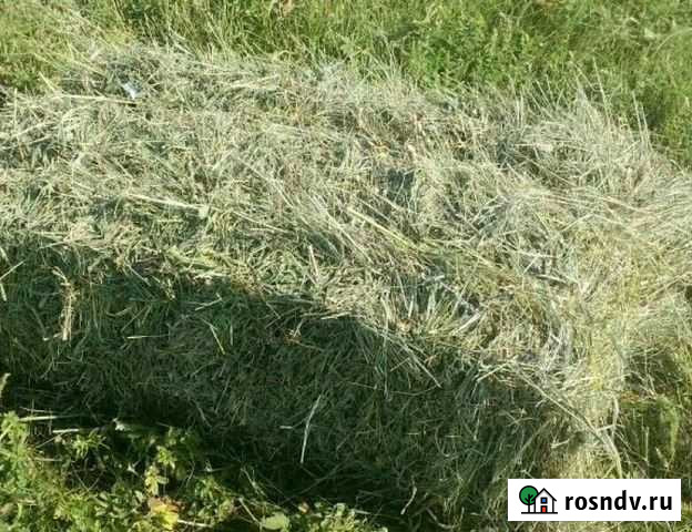 Сено Яшкуль - изображение 1